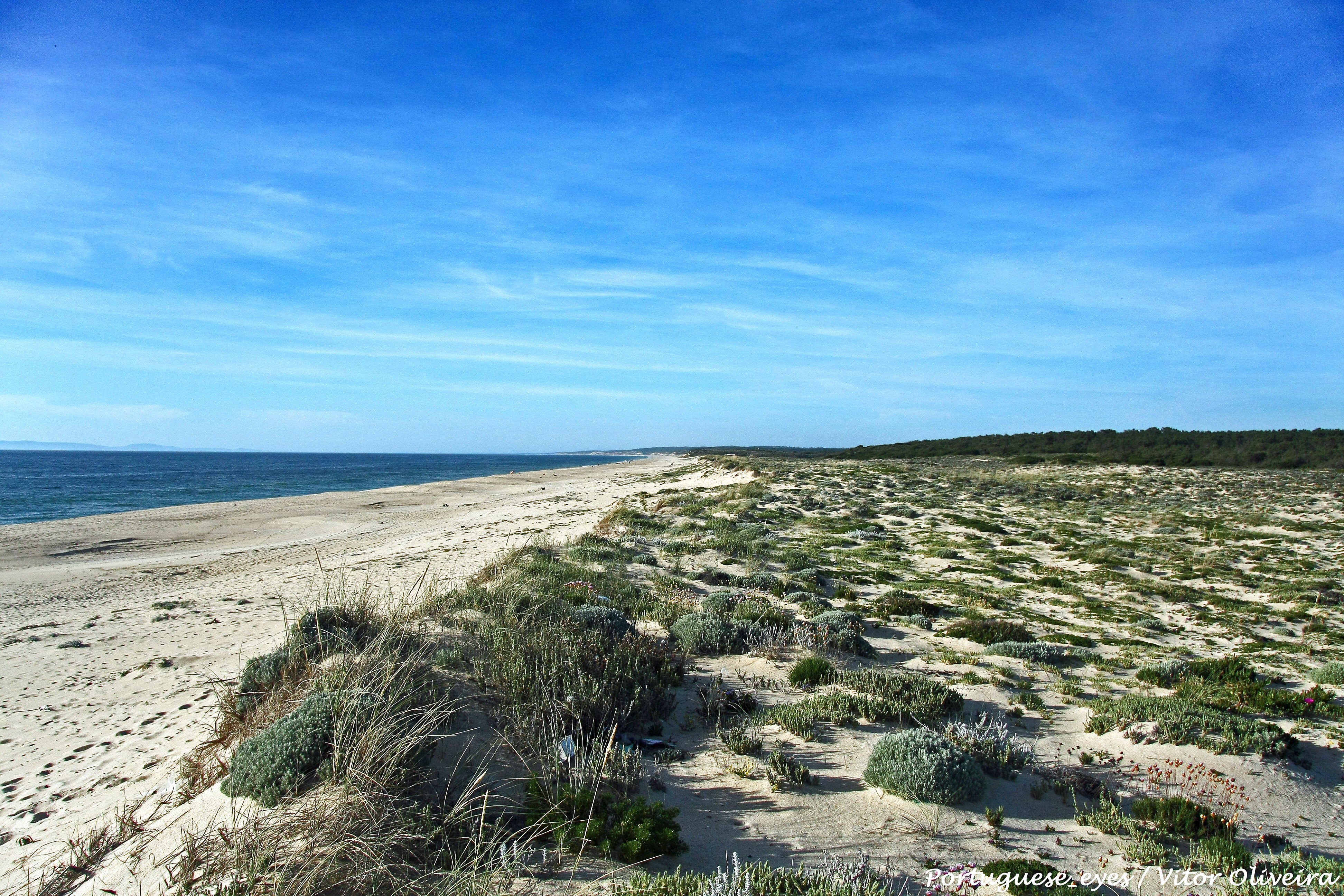 Beaches in Santiago do Cacém