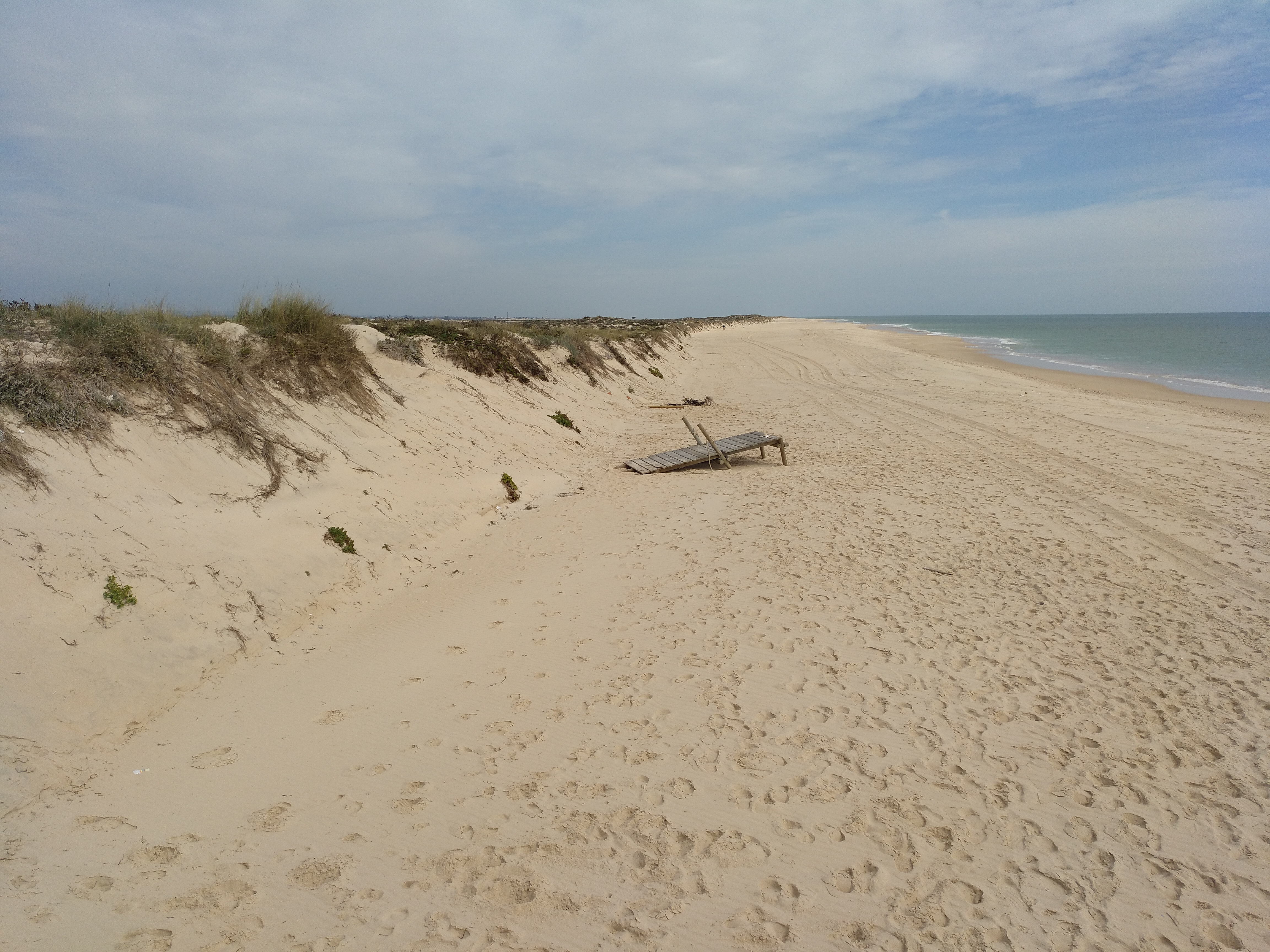 Praia da Culatra