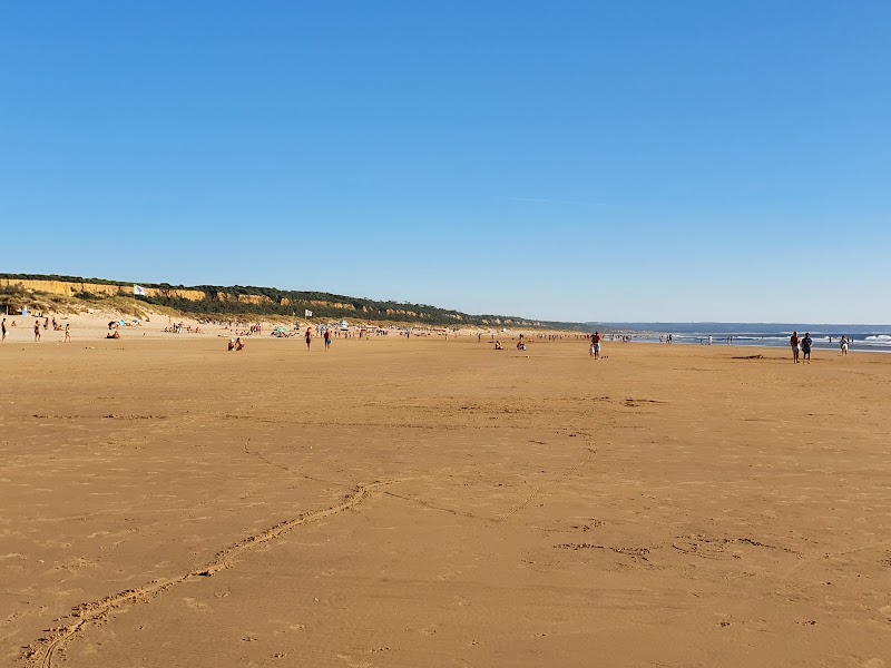 Praia do Rei